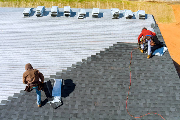 Best Storm Damage Roof Repair  in North Utica, IL
